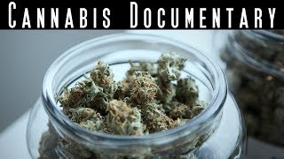 The King of Cannabis - Best Marijuana Documentary - Cannabis Evolution Documentary