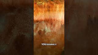 From Blueberries To D Conors Undisputed Success Story