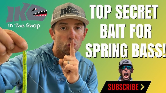 Best Fishing Baits: Top 10 Picks - Fishingurus Angler's