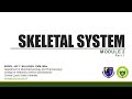 Skeletal system part 1  introduction