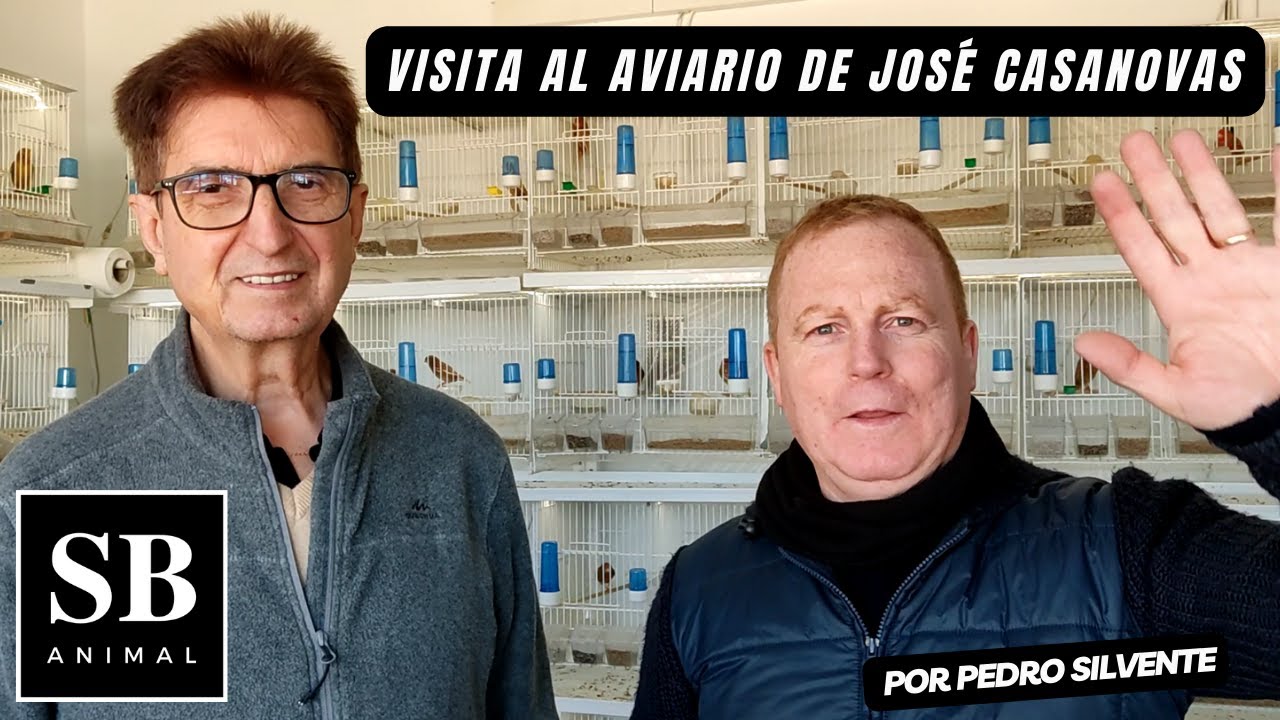 PHAEOS Y ROJOS MOSAICOS, Visitamos el Aviario de José Casanovas