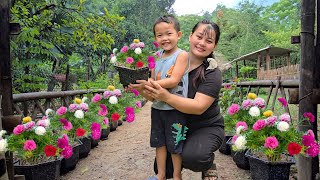 Download Lagu A day of gardening full of smiles for Cu Bon and his mother – Sow flowers, reap happiness! MP3 Download Lagu A day of gardening full of smiles for Cu Bon and his mother – Sow flowers, reap happiness! MP3