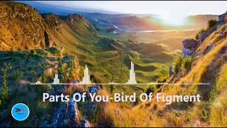 Parts Of You Bird Of Figment[ Acoustics group Music]