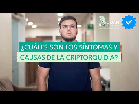 ¿Cuáles son los síntomas y causas de la criptorquidia?