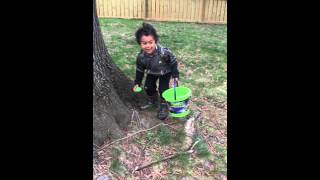 Easter Egg Hunt 2K16