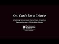 Raymond Harrison - &#39;You Can&#39;t Eat a Calorie: The Energy Balance Model from a Physics Perspective&#39;