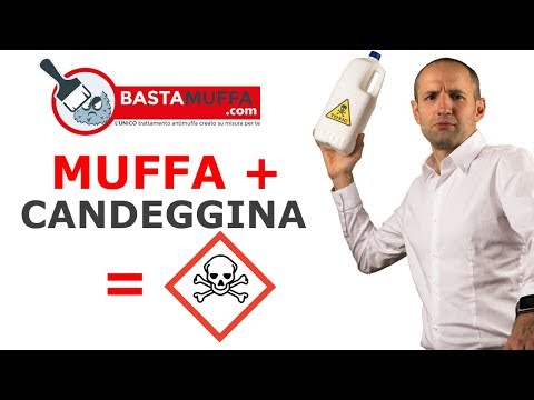 I pericoli della candeggina come rimedio antimuffa