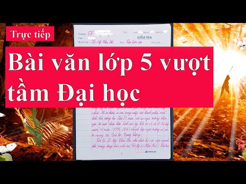 Video: Tưởng tượng là… Giá trị chân thực và tưởng tượng