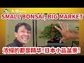 "SMALL BONSAI, BIG MARKET" The world of SHOHIN BONSAI!. 2021's Japanese champion is coming up!!
