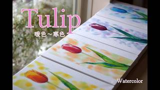 Watercolor Beginners] Drawing Tulips with Warm and Cool Colors