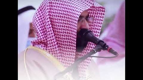 ما تيسر من سورة فصلت