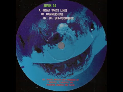 Pounding Grooves & R.A.W. - Hammerhead [2004]