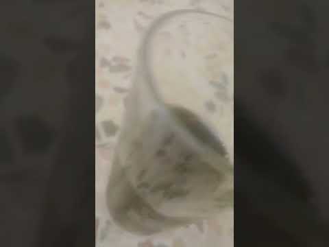 اسمعو سلكو مابعرف ايش الهبل الي سويته ما تهتمو