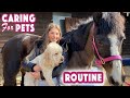 My Caring for PETS ROUTINE | Rosie McClelland