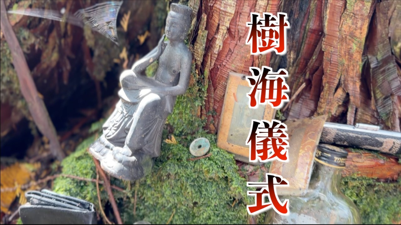 【閲覧注意】樹海の秘匿エリアで発見…「謎の儀式」の痕跡がヤバすぎる…見てはいけない…