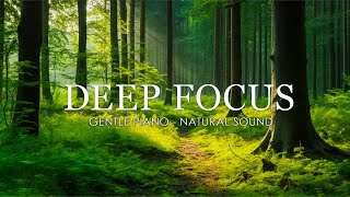 Deep Focus Music To Improve Concentration - 12 Hours of Ambient Study Music to Concentrate