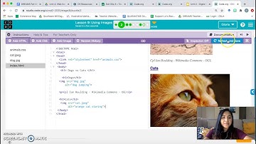 Unit 2 Lesson 9: Using Images (Bubbles 1-7)