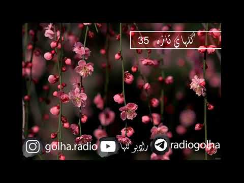 گلهای تازه برنامه شماره 35