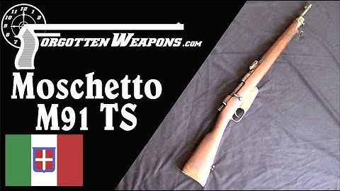 Special Troops M91 Carcano Carbine and the M91/24 Carbine