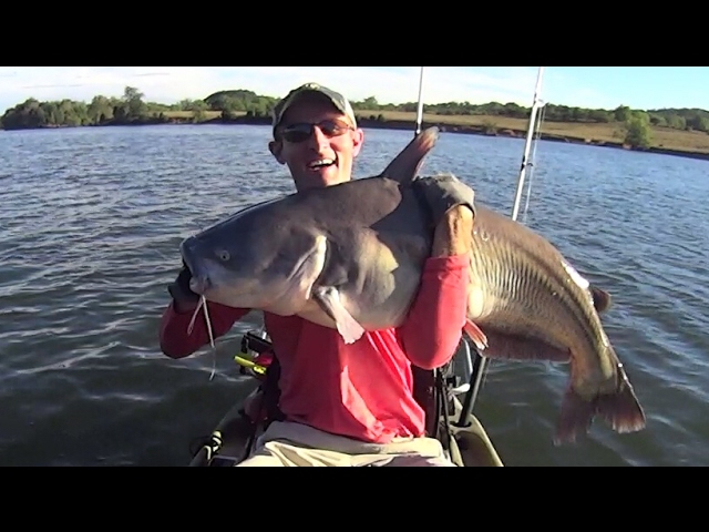 Catching A Trophy Size Blue Catfish On Carp Bait (Surprise Catch