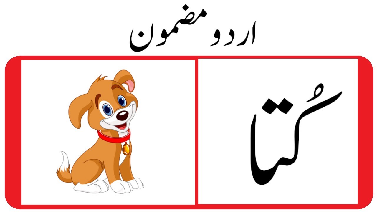 pet animal essay in urdu