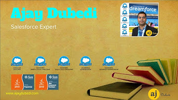 Salesforce Data Model and Management Platform Developer AJ Part 1