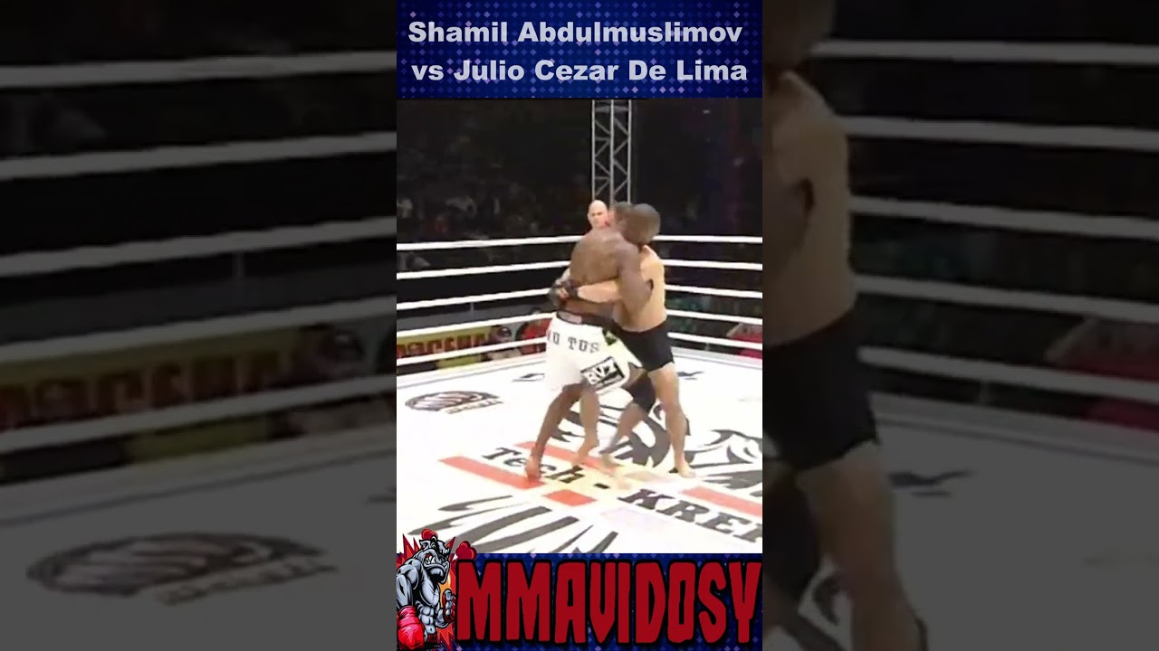 TKO Punches ProFC 36 - Shamil Abdulmuslimov vs Julio Cezar De Lima 