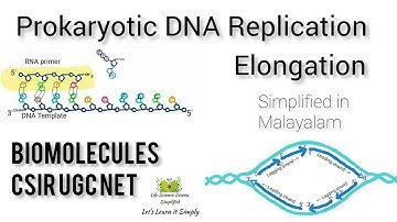DNA Replication in Prokaryotes 2 | Elongation | CSIR UGC NET  Life Science | simplified in Malayalam