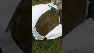 Opening A Wrapped Haylage Bale #Shorts