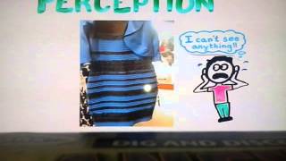 What Colour Is This Dress? (Solved With Science)