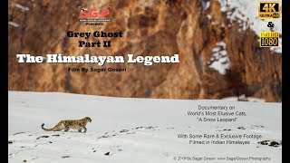Snow Leopard, The Himalayan Legend | Wildlife Documentary | Snow Leopards In India