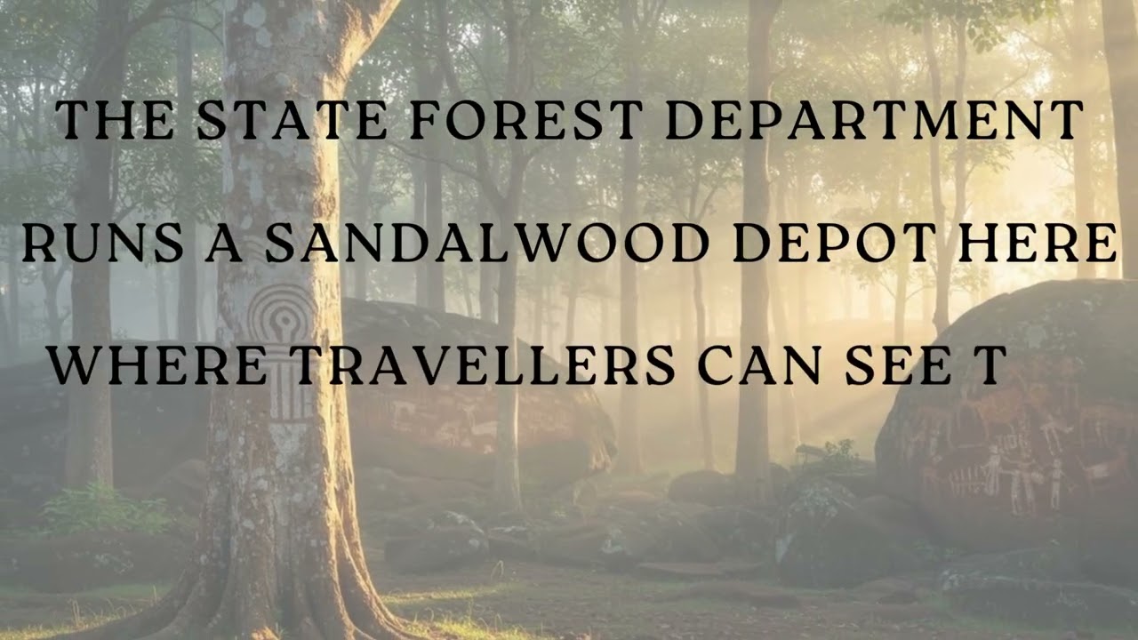 TWINLENS_DIARIES - DISCOVER - HIDDEN PLACES - KERALA - MARAYUR SANDALWOOD FOREST 🌎🌴