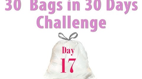 30 Bags in 30 Days || Declutter Challenge || Day 17