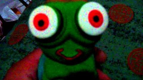 EYE POPPING green grasshopper