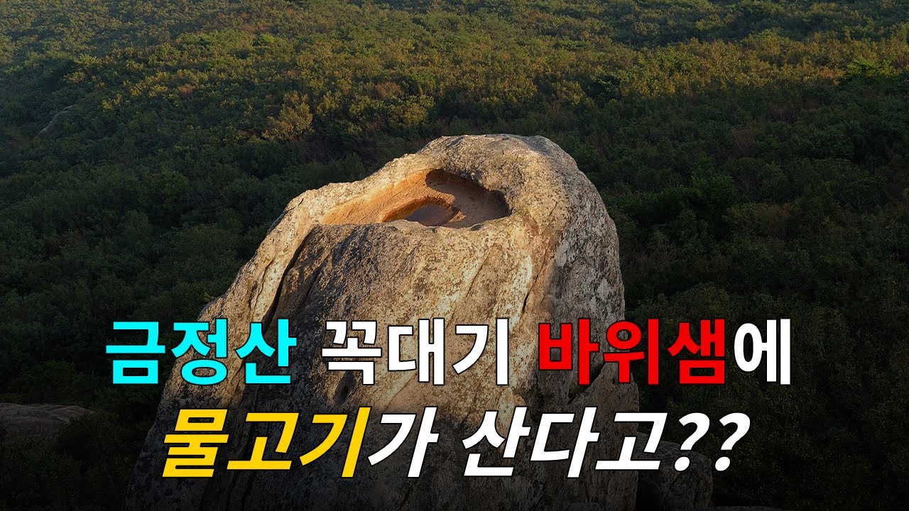 [4K] 부산 여행 | 금정산 범어사 이름의 유래를 찾아서
