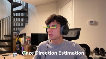 Gaze Direction Estimation Demonstration