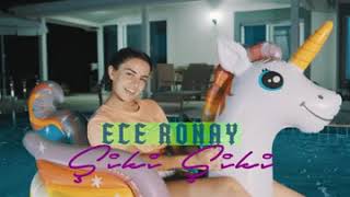 (Ece Ronay) Şiki Şiki Resimi