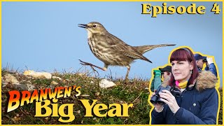 Branwen's Big Year 2024 | Episode 4