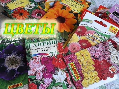 Какие цветы можно еще посеять с апреля по май.Новое приобретение.