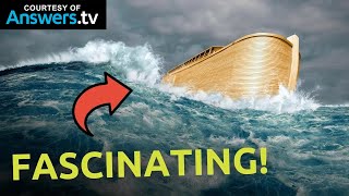 Expert’s BEST Prediction on How Noah’s Ark Looked