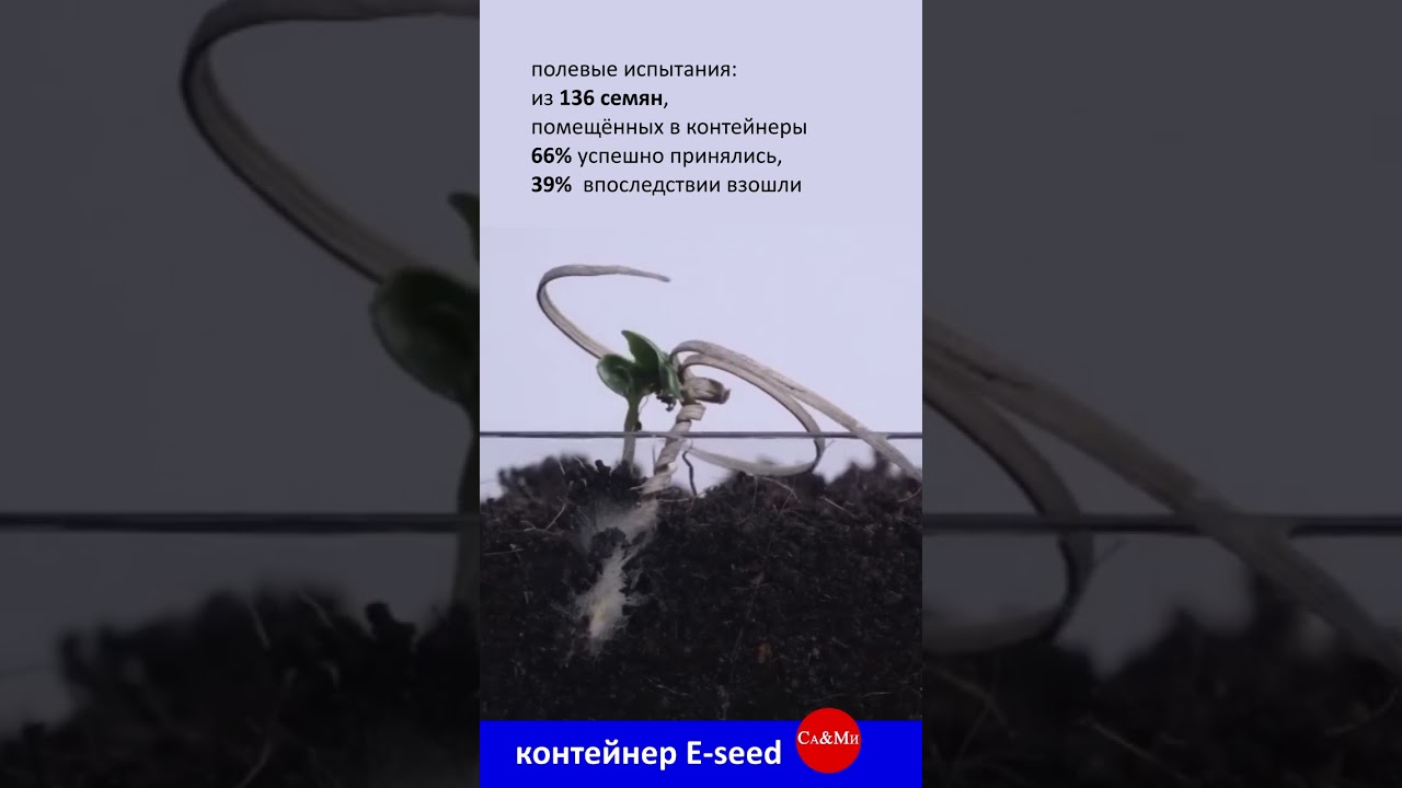 самозакапывающаяся оболочка для семян E-seed