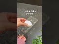 【製氷器で】おうち手まり寿司