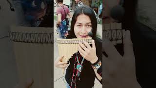 Panflute  Chiquitita Instrumental    abba  panflute