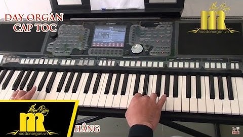 Học Đàn Organ Cấp Tốc TPHCM - MÙA THU LÁ BAY - Trung Tâm Nhạc Rừng