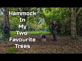 Hammock Park October 25