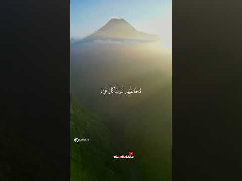 ف ل م ا ن س وا م ا ذ ك ر وا ب ه محمود علي البنا 