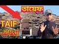 Taif The City Of The Prophet S Trial Taif The City Of The Prophet S Trial 