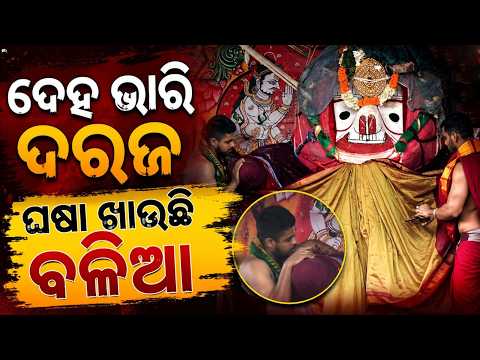 ଘଷା ଖାଉଛି ବଳିଆ... | Adhara Pana 2026 | Lord Balabhadra | Rath Yatra 2026 | Rath Jatra | Argus News