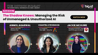 AI Security Risks Explained: What Every Security Leader Must Know Net Worth
