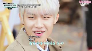 [SUB INDO] FULL 3/5 Wanna One Comeback Show - Power of Destiny by Lin Melinn